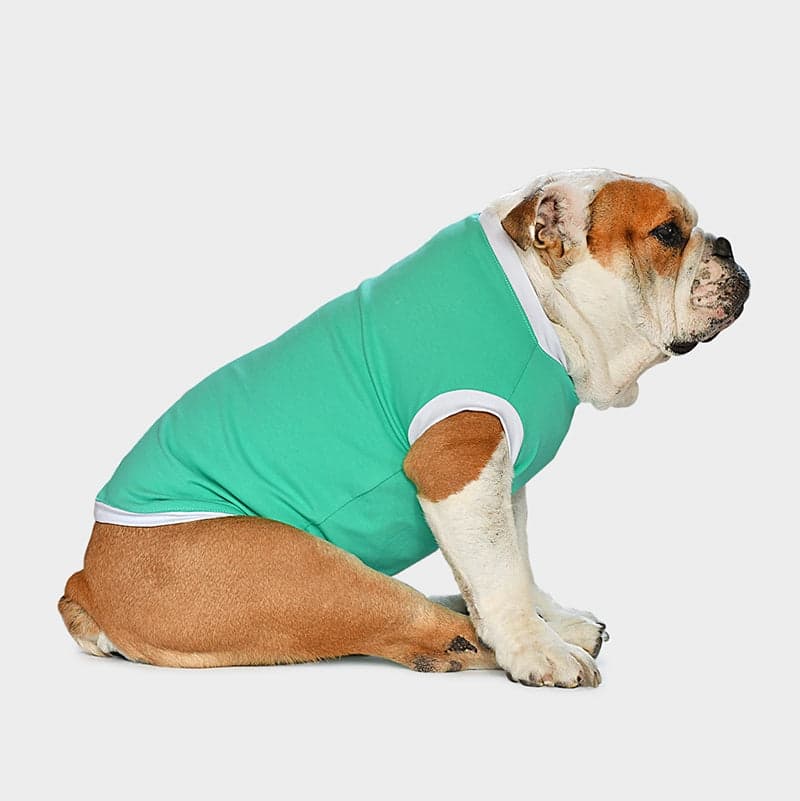 Variante Menta della B-Cool t-shirt